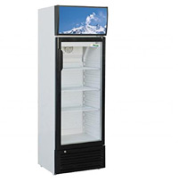 Gaggioli - Frigo vitrine à colonne - 171 L
